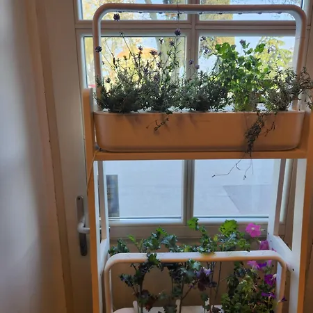 Hotel Amfiteatar Hotel